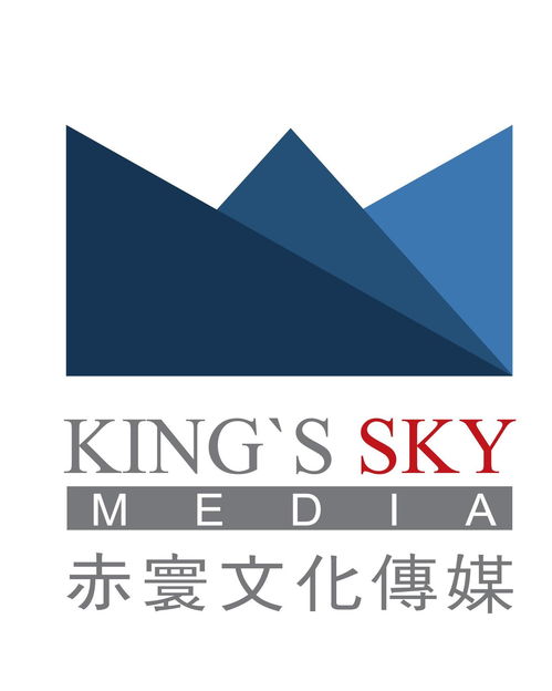 赤寰国际文化传媒