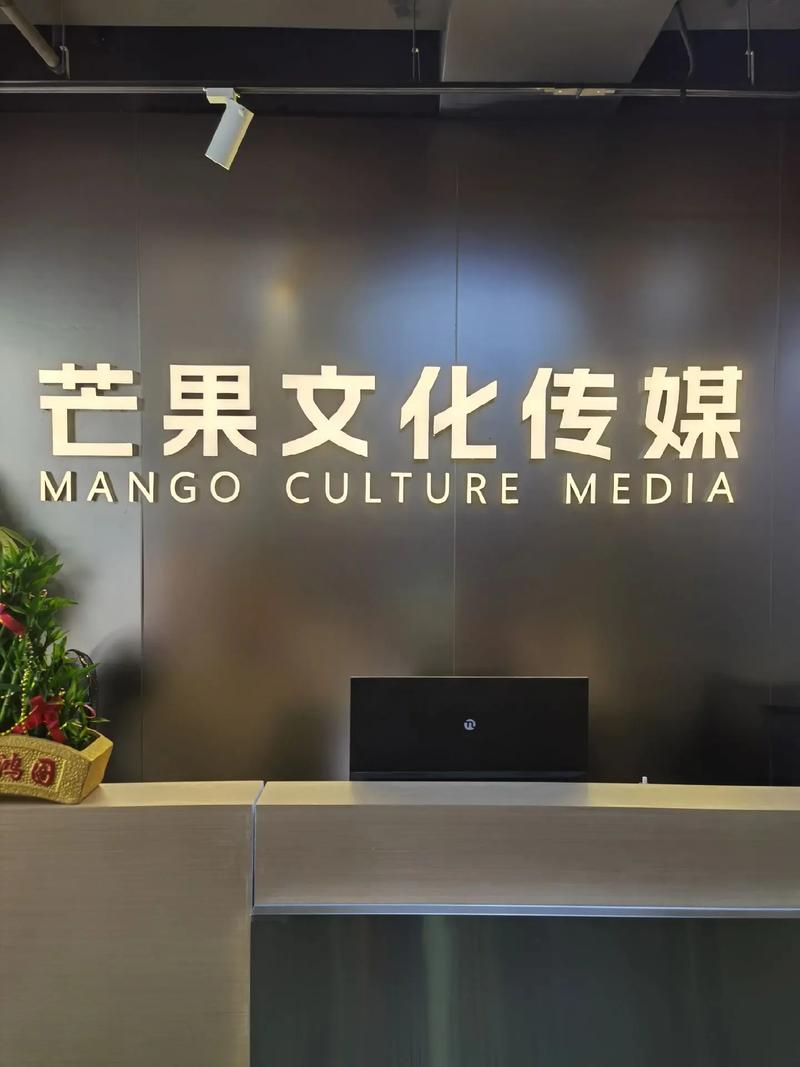 芒果文化传媒是集抖音平台的培训和产品包装的文化传媒公司,欢迎 - 抖